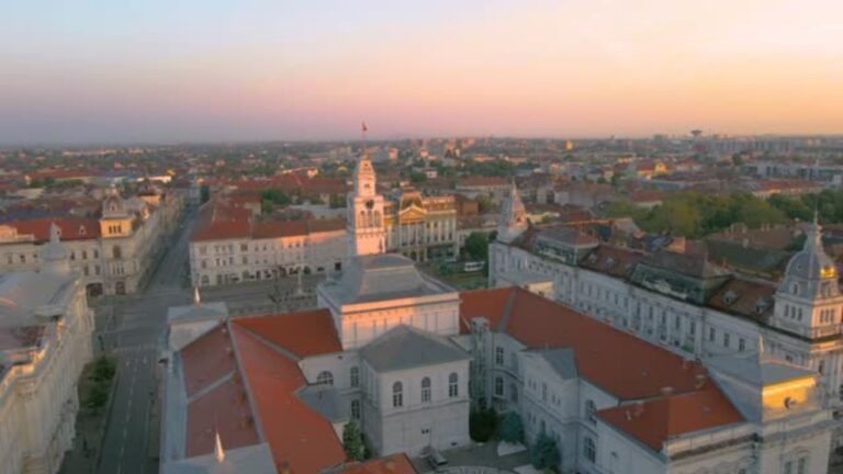 Arad Office