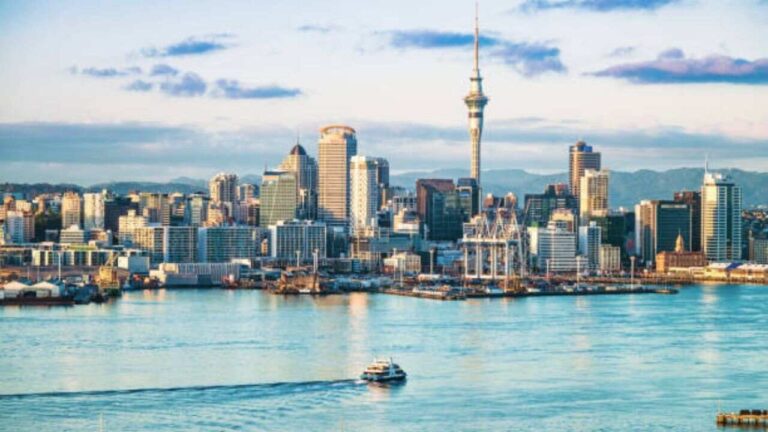 Auckland-Office