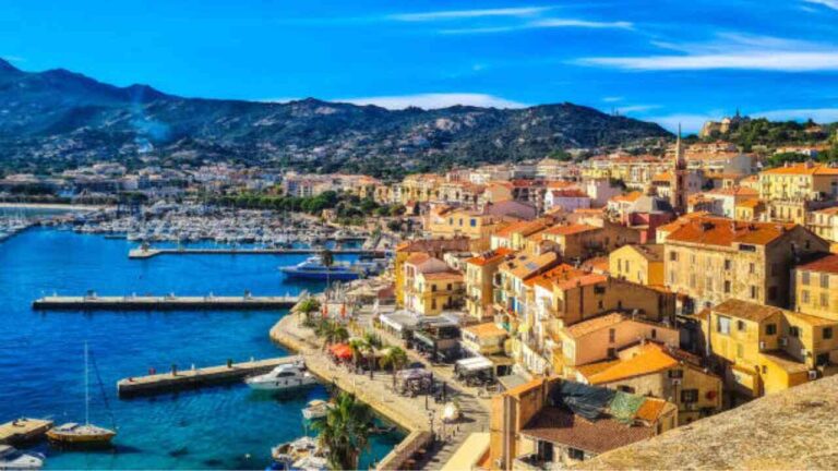 Calvi-Office