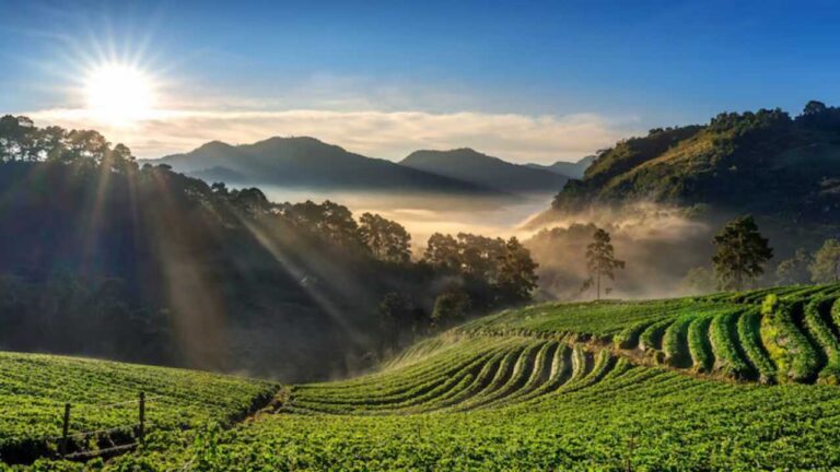 Cotabato