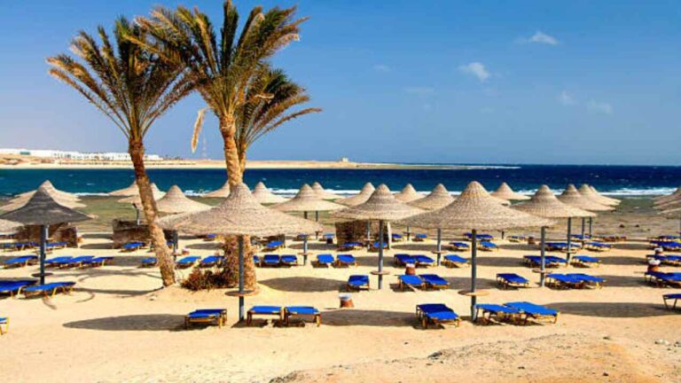 Marsa-Alam-Office