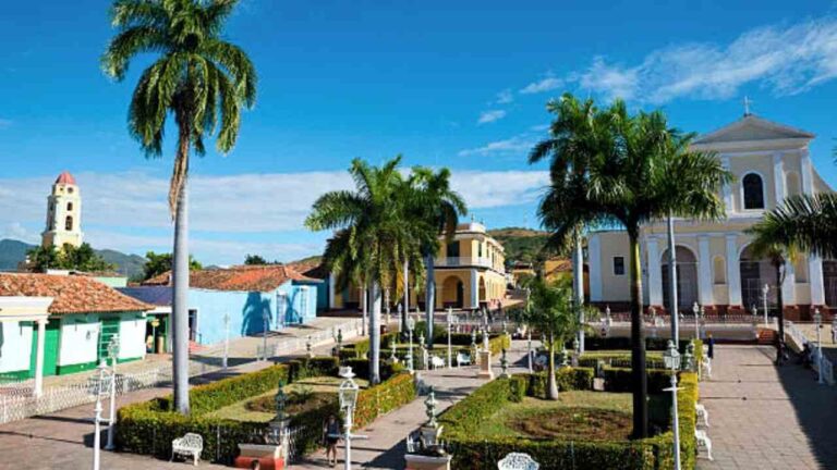 Piarco Office