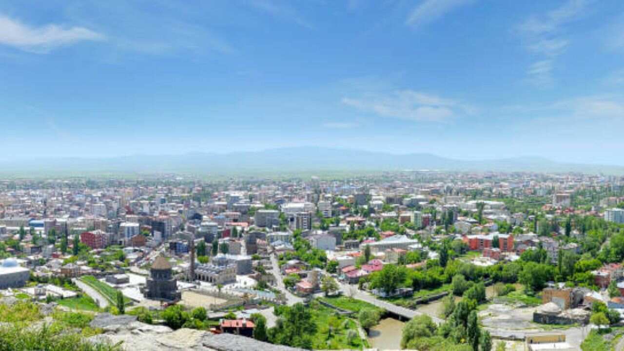 Polyarny