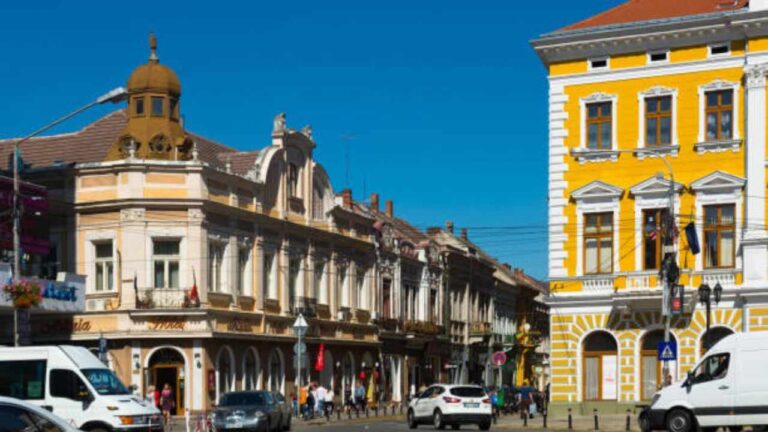 Satu Mare Office