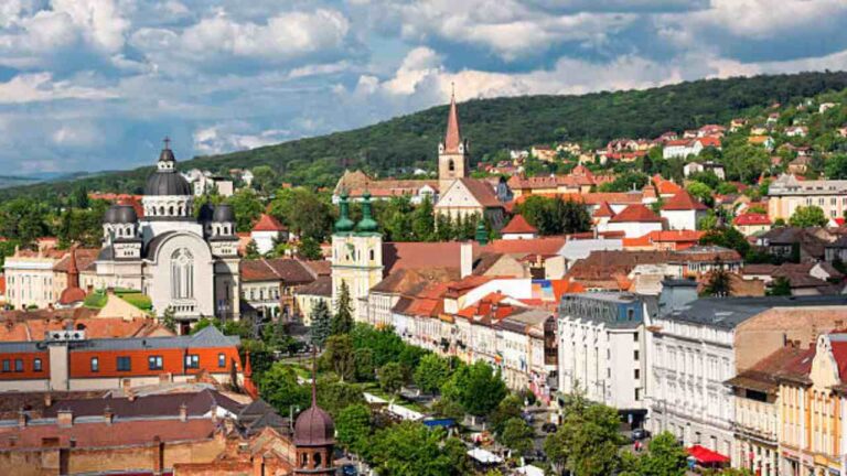 Targu Mures Office