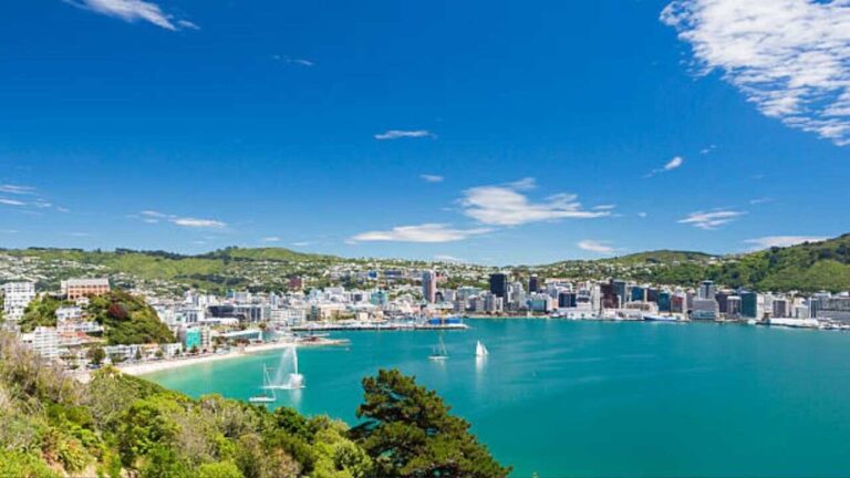 Wellington-Office