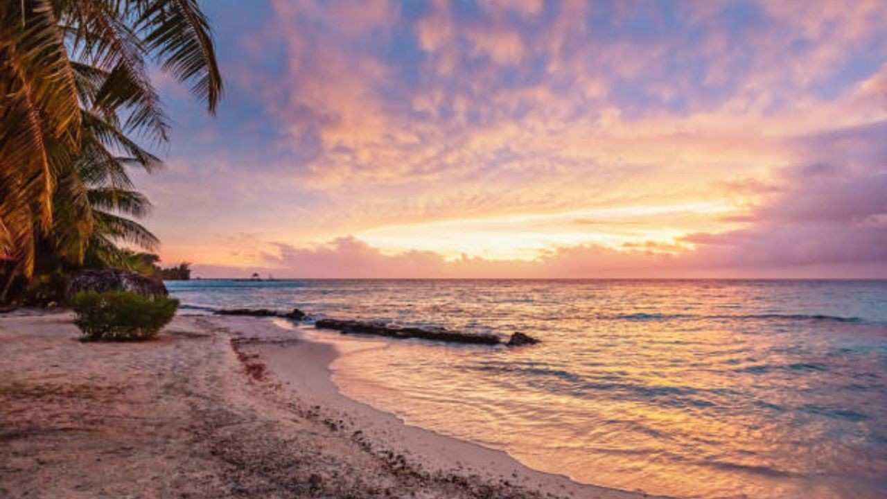 Nadi