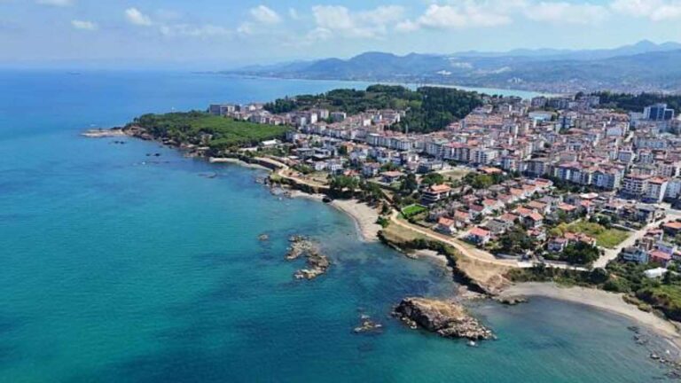 Ordu