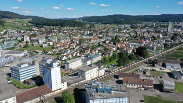 Rohrmoser