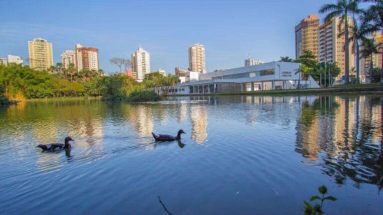 Patos de Minas