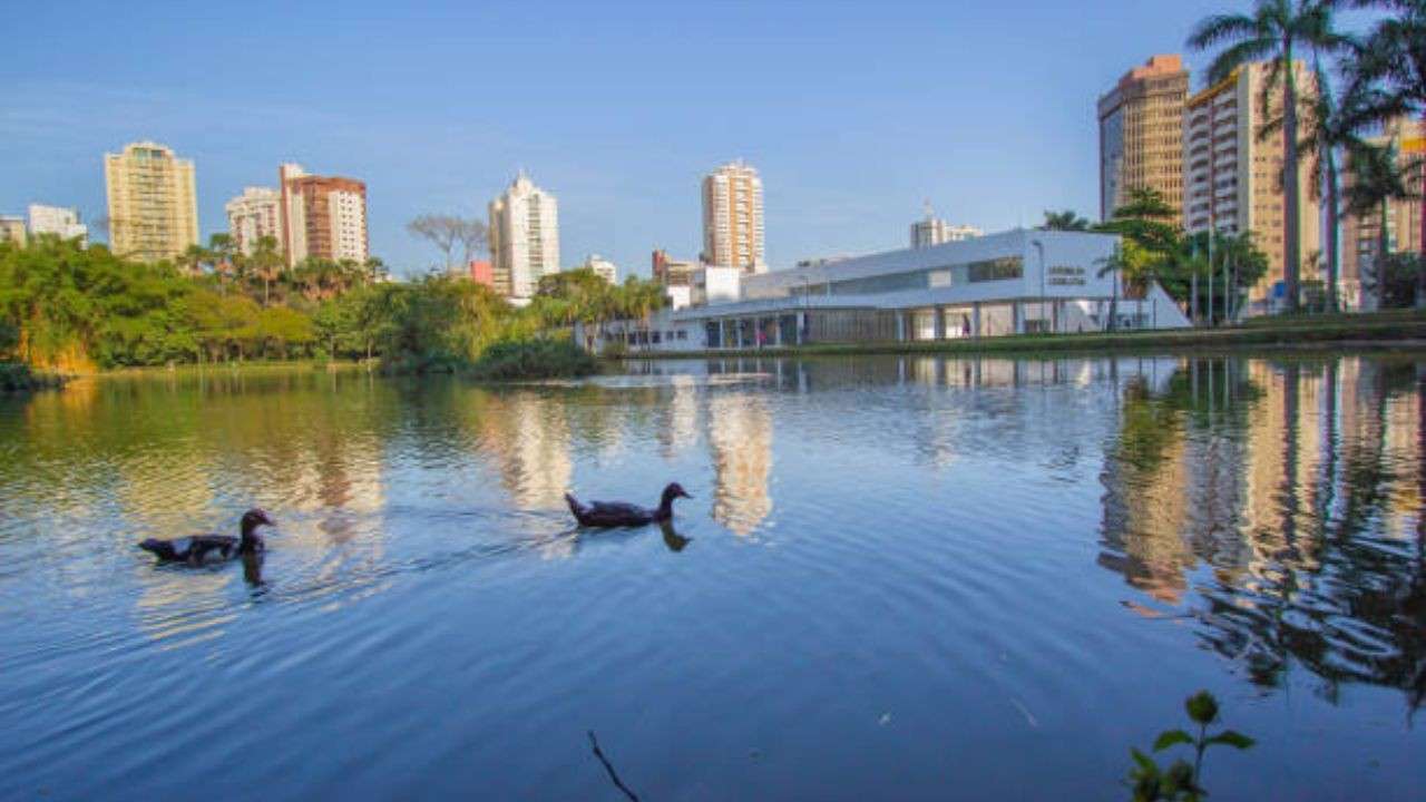 Patos de Minas
