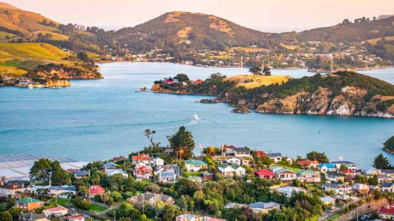 Dunedin