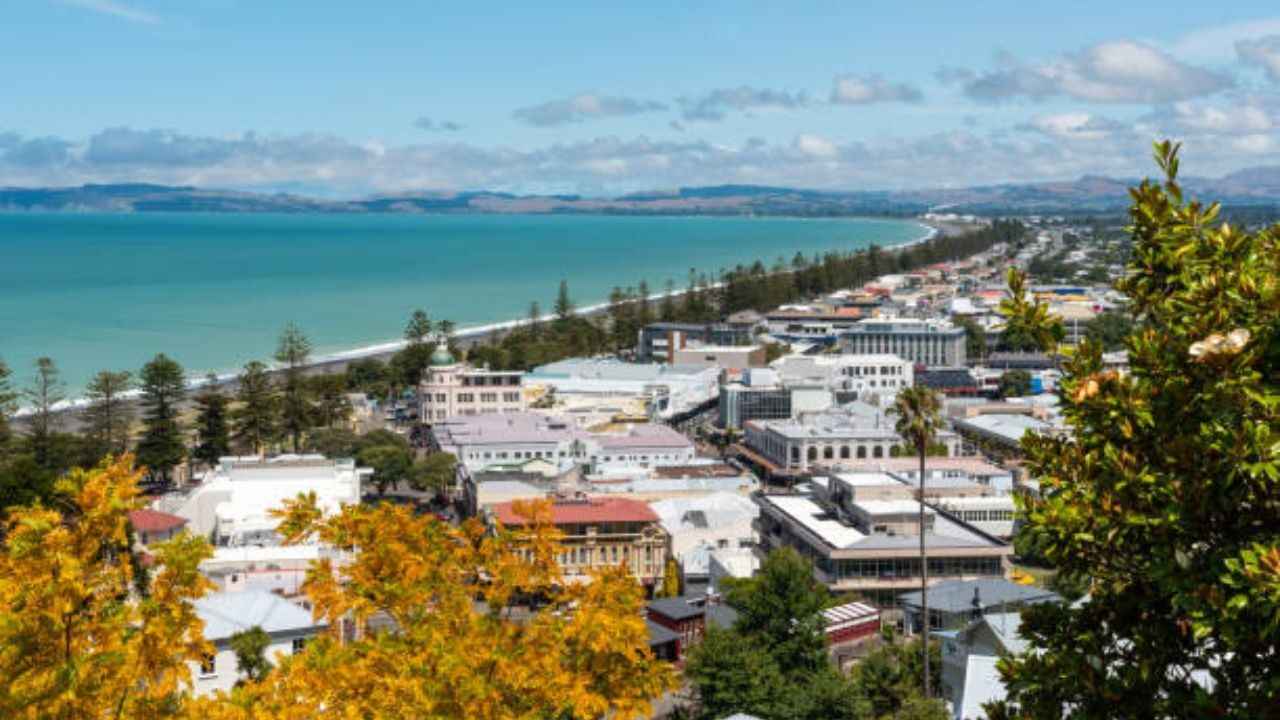 Napier